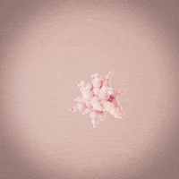 Pop