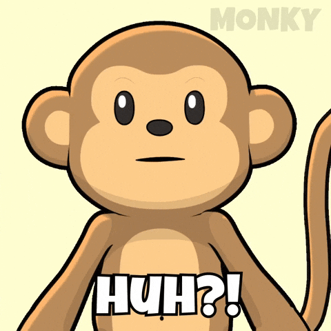Monkeys Wow GIF by Wise Monkey Meme