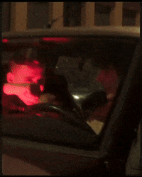 about last night animation GIF by CATTURA Production