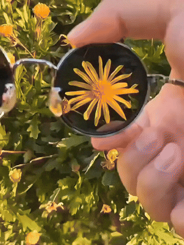 giphyupload GIF