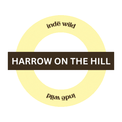 I Spy Inde Wild Sticker by indewild