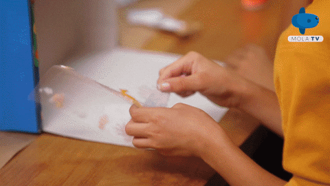 Happy Animation GIF by Mola TV Kids