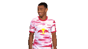 No Way Football Sticker by Bundesliga