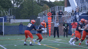 Cardinals Sjfc GIF by Fisher Athletics