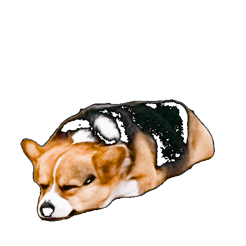 Dog Corgi Sticker
