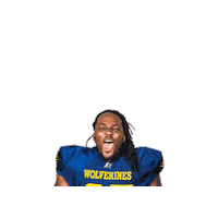 Jenkkifutis Sticker by Helsinki Wolverines