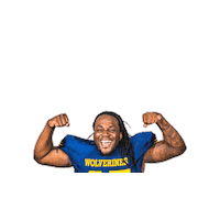 Jenkkifutis Sticker by Helsinki Wolverines