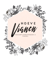 hoevevianen flowers vianen hoevevianen vakantieboerderij Sticker