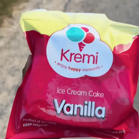 Ice Cream GIF