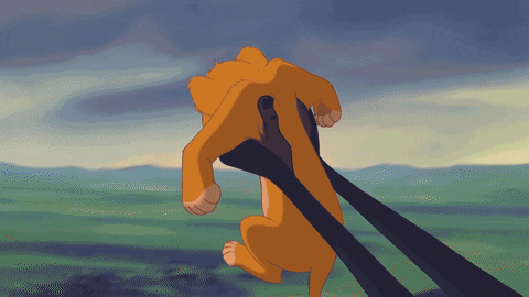 the lion king disney GIF by Rocket Beans TV