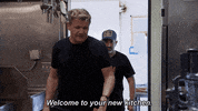 gordon ramsay cooking GIF by Gordon Ramsay's 24 Hours to Hell and Back
