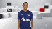 No Way Reaction GIF by Bundesliga