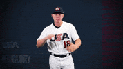 Pro GIF by USA Baseball