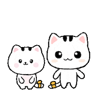 GoyangGoyang cat wow 고양이 놀람 Sticker