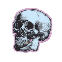 skull pdr Sticker