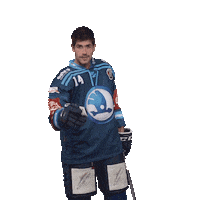 Hockey Hokej Sticker by HC Škoda Plzeň