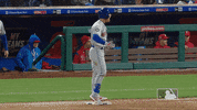 yell ny mets GIF by New York Mets