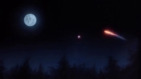 christmas vacation GIF