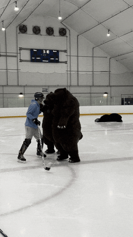 heroboardfitness giphyupload fight hockey beatdown GIF