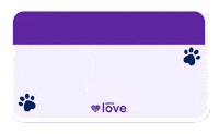 Cat Adopt Sticker by Petco Love