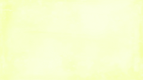 Congratulations Congrats GIF