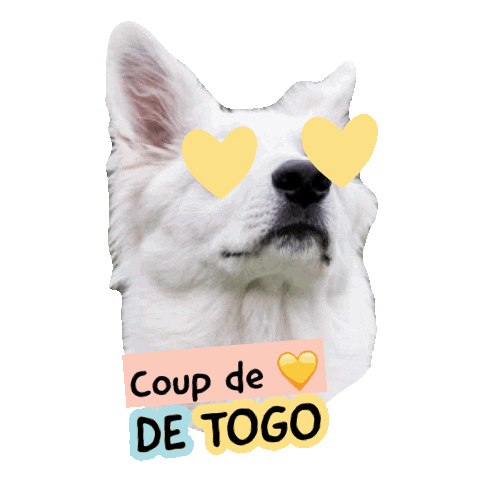 Pawsitivepetambassadeur Sticker by Pawsitive pet