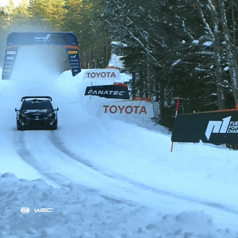 Wrc GIF by FIA World Rally Championship