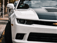 You Can Wow GIF by FranchiseONE.de