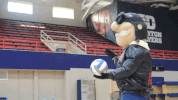 Ncaa Basketball GIF by Dayton Flyers