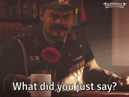 Video Games What GIF by El Presidente