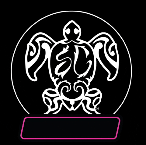 Soulcraft_Wake_Surf giphyattribution supreme shred malibu GIF