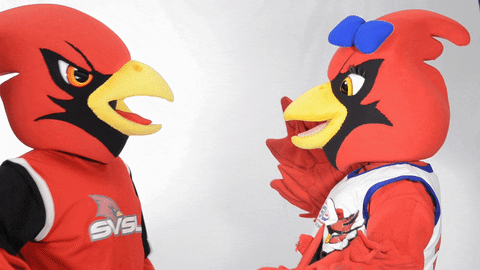 Coop Scarlet GIF by Saginaw Valley State University