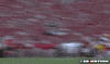 lsu uga GIF by SB Nation
