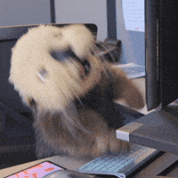 Work Hard GIF by Aquarium of the Pacific
