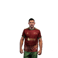 Andebolportugal Sticker by Federação de Andebol de Portugal