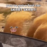 Fast Car Tumbleweed GIF