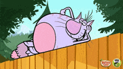 fail falling down GIF by PBS KIDS
