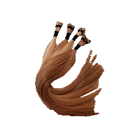 Beauty Hair Sticker by hairboss_professional