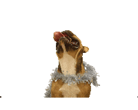 Dog Chivas Sticker by LeadLogic