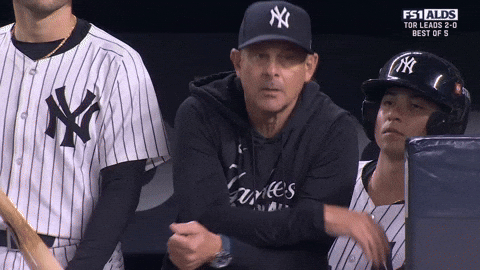 New York Yankees Sport GIF by MLB