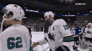 ice hockey sport GIF by NHL