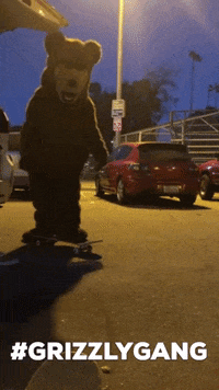 bear skateboarding GIF by Torey Pudwill