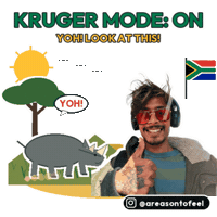 South Africa Wow Sticker by TEAM AF