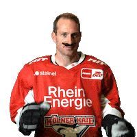 Goal Celebrate Sticker by Koelner Haie
