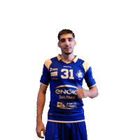 Sport Celebration Sticker by Massy Essonne Handball