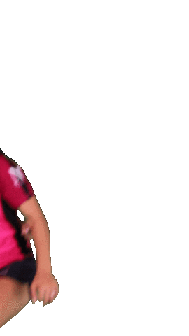 Noisyhb Sticker by Noisy Le Grand Handball