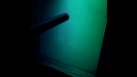 pollyju  GIF