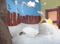 Snowball