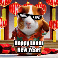 Guinea Pig Celebrations GIF by Guinea Gambino