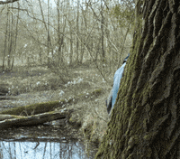 No Plastic What GIF by Greenweez